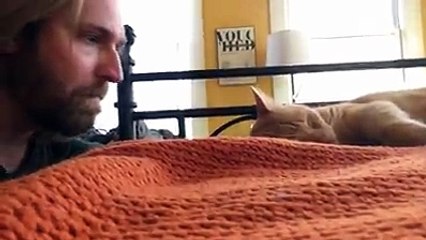 Funny Cats Compilation [Most See] Funny Cat Videos Ever Part 1