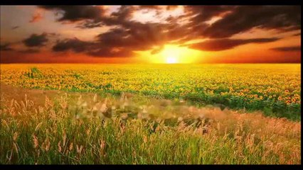 Марина Оникина. Покажись.