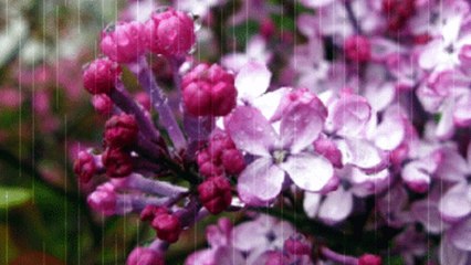 Михаил Мартынов. Колыбельная.