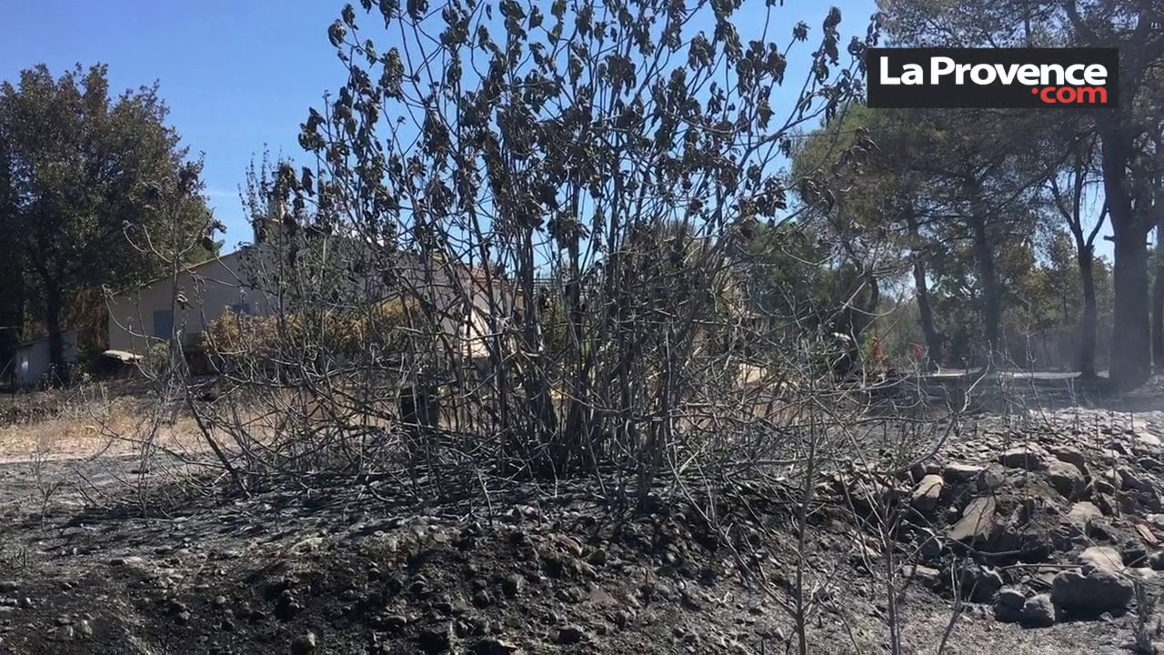 Saint-Cannat : l'incendie éteint aux portes des maisons
