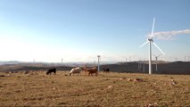 Mongolia, with Japanese backing, to focus on renewable energy