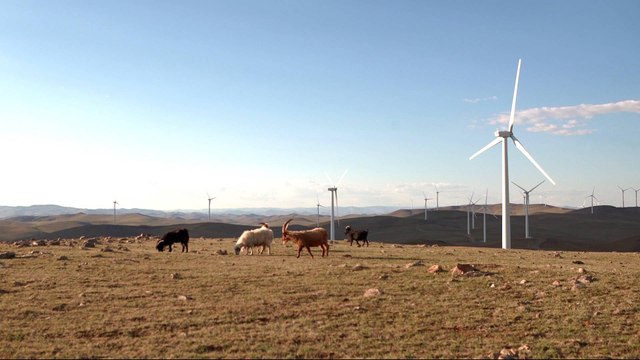 Mongolia, with Japanese backing, to focus on renewable energy