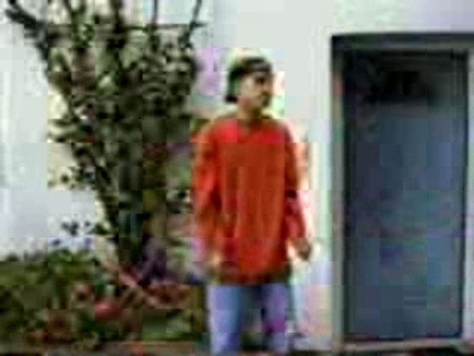 Et si les Chats faisaient comme les humains