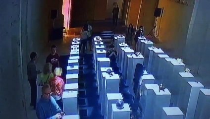 Effet domino : cette femme détruit pour 200.000€ d'oeuvres d'art en prenant un selfie