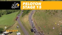 Un peloton réduit / A small peloton - Étape 15 / Stage 15 - Tour de France 2017
