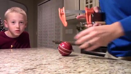 What's inside a Cricket Ball_