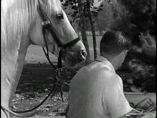 Mister Ed S03E07 - Wilbur In The Lion's Den