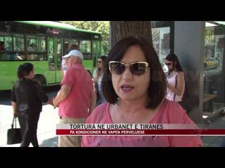 Tortura në urbanet e Tiranës - News, Lajme - Vizion Plus