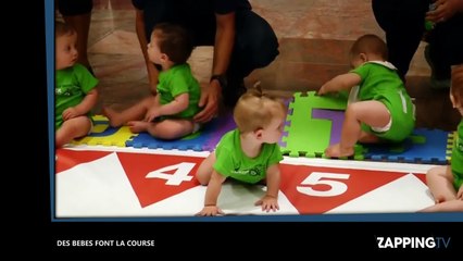 New York : Des bébés  font la course, la craquante vidéo