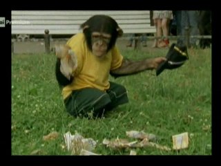 Il nostro amico Charly 8x08 - Giochi pericolosi