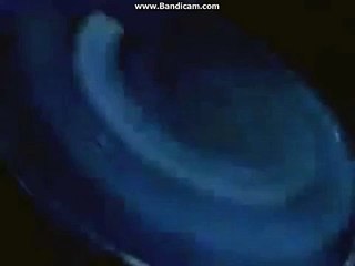 Multimedia Entertainment (1994 in low tone and slower)