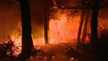 Emergenza incendi dai Balcani al Portogallo; fiamme a Capalbio
