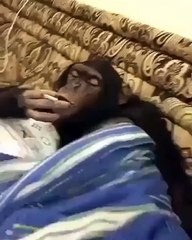 ضحك • Instagram photos and videos_2