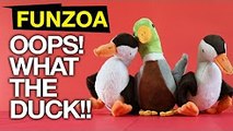 What The Duck-Funny Song With Cutest Slang - WTD _ Mimi Teddy _ Funzoa Funny Viral Videos _ HipHop