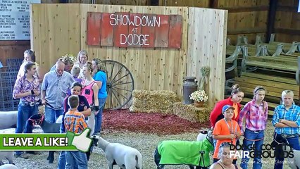 Showdown at Dodge County for Sheep Showmanship for Exhibitors