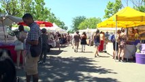 Alpes-de-Haute-Provence : 40 000 visiteurs pour la Fête de la lavande à Valensole !