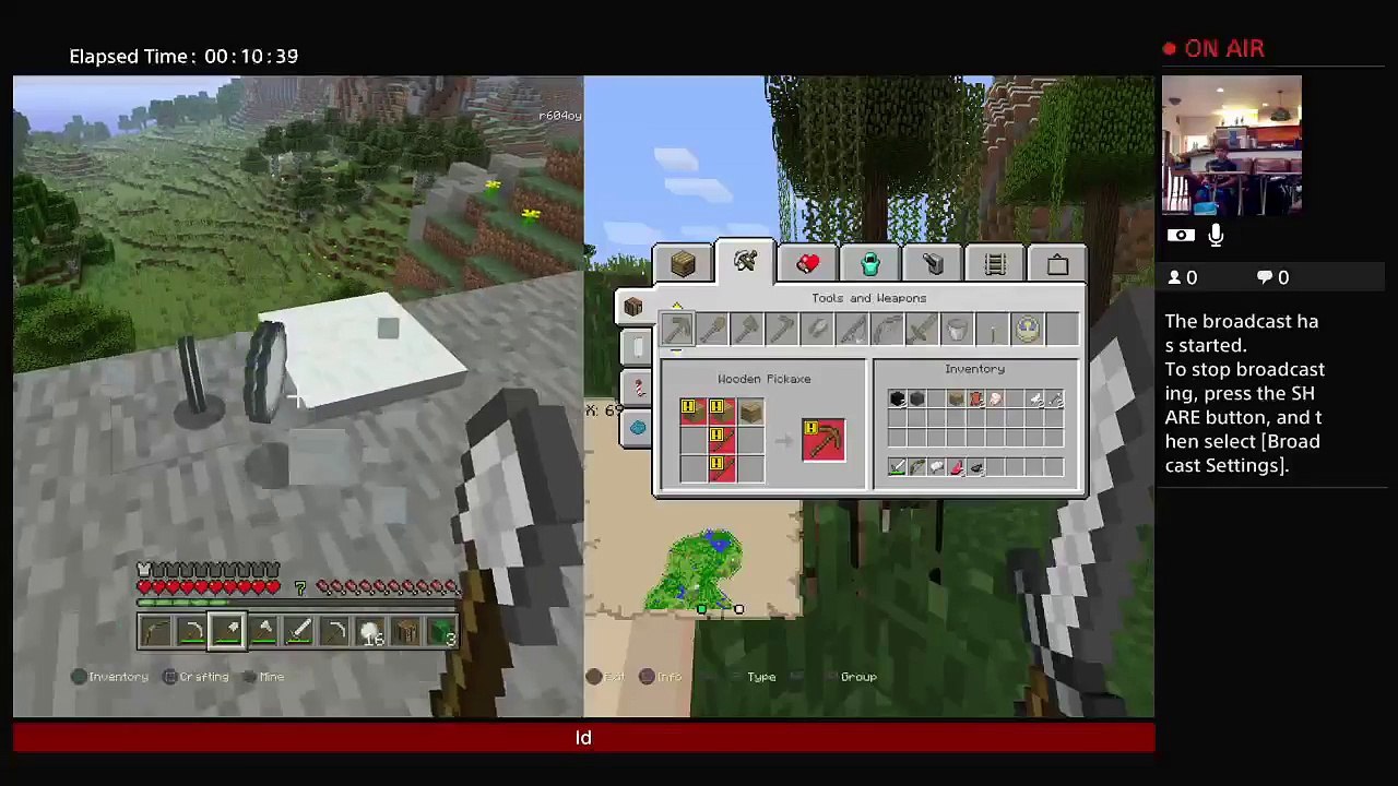 Minecraft (27)