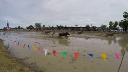 Demat përballje në mes të baltës - Top Channel Albania - News - Lajme