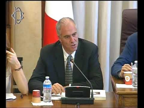 Roma - Riforma Inps e Inail, audizione esperti (04.07.17)