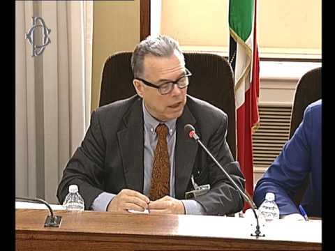 Roma - Audizione esperti (04.07.17)