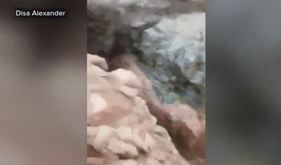 RAW VIDEO: Flash flooding near Payson kills 4