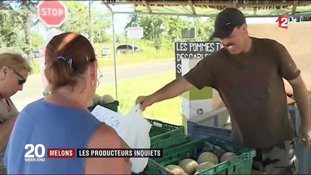 Melons : les producteurs français inquiets