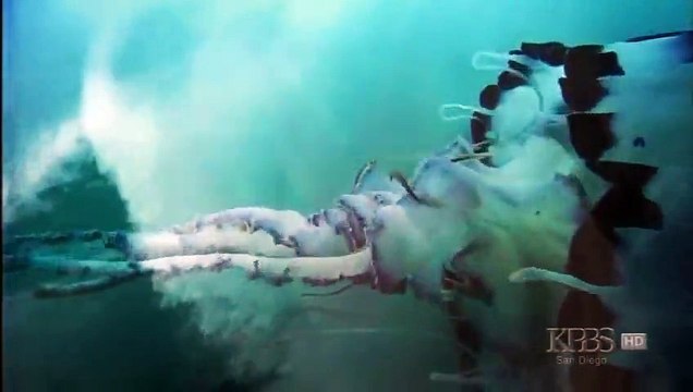 Kalahari 1 The Great Thirstland (Nature Documentary)