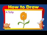 Learn to Draw Flower - Draw a Tulip
