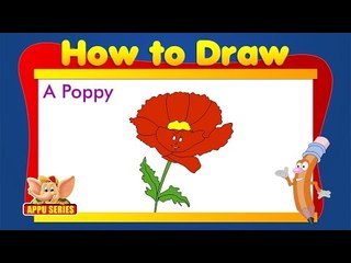 Learn to Draw Flower - Draw a Poppy