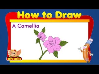 Learn to Draw Flower - Draw a Camellia