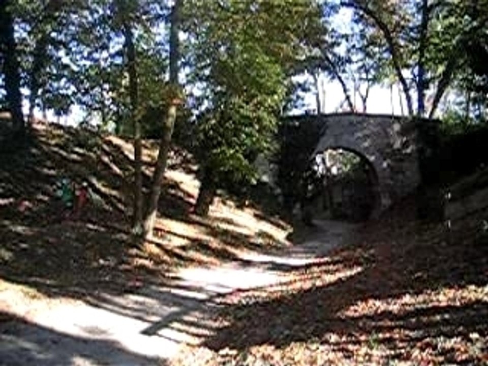 MVI_0008