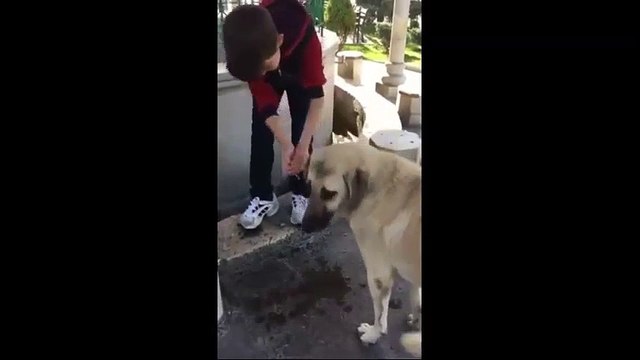 Koca Yürekli Küçük Adam