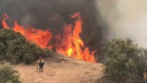 Firefighters Work to Contain California's Whittier Fire