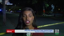 For Second Time in Week, Fatal Shooting Takes Place Near Seattle Neighborhood Park