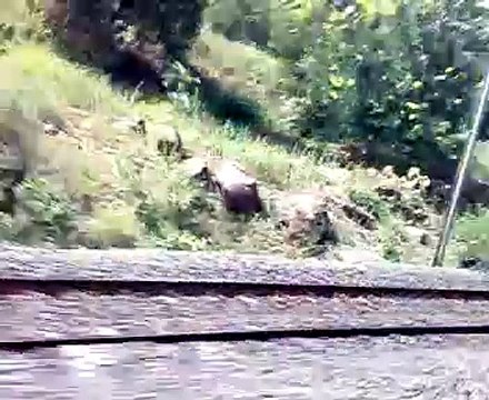 IRFCA - Falaknama Express blasting through Eastern Ghats in Orissa