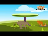 Animal Nursery Rhymes - Pop Goes The Weasel - Kids