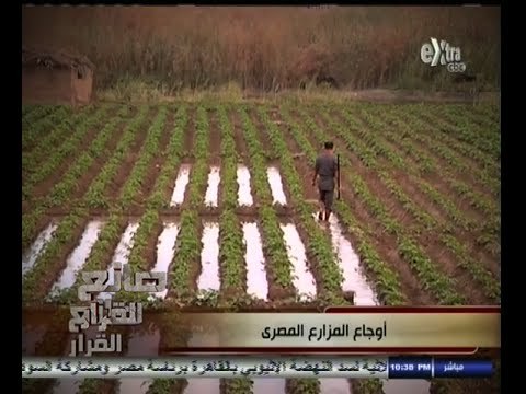 #صانع‪_‬القرار | كيف يمكن تجنب الآثار السلبية لزيادة أسعار الأسمدة ؟ | الجزء الثاني