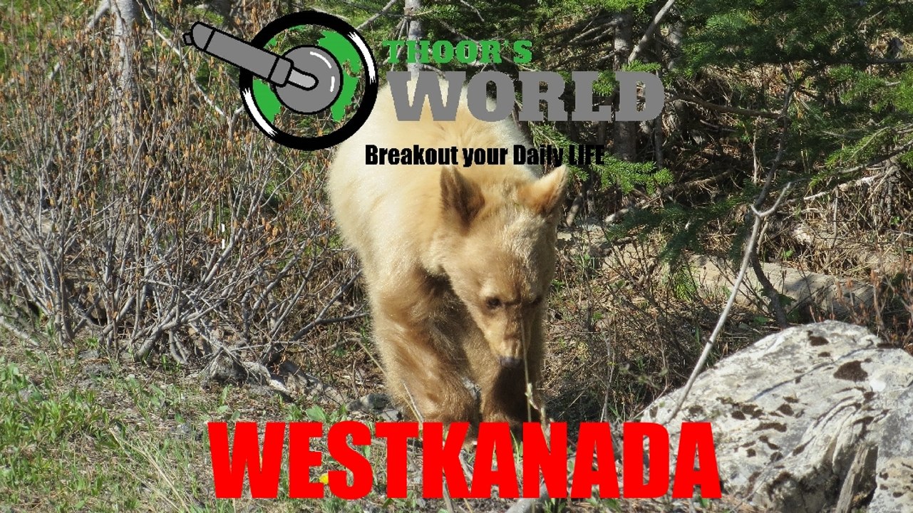 Westkanada Rundreise in 4 Minuten Impressionen aus dem Land der Bären by THOORSWORLD