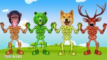 Learn Colors with Animal Skeletons - Farm Animals with Wrong Body - Funny Animals Video For Kids