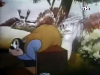 Animal Planet The top ten global conquerors in the animal kingdom