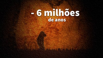 As grandes etapas da evolução humana