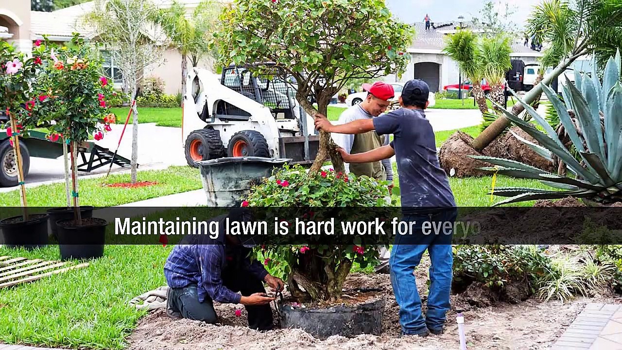 Contractors Group: Presenting Effective Earthmoving Solutions For Your Properties