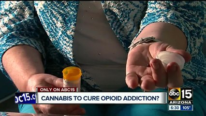 Arizona in emergency after abuse of opioids killed nearly 800