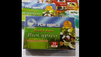 0815-7109-993 (Bpk Yogie) Biocypress Jakarta, Biocypress Kapsul Jakarta Barat