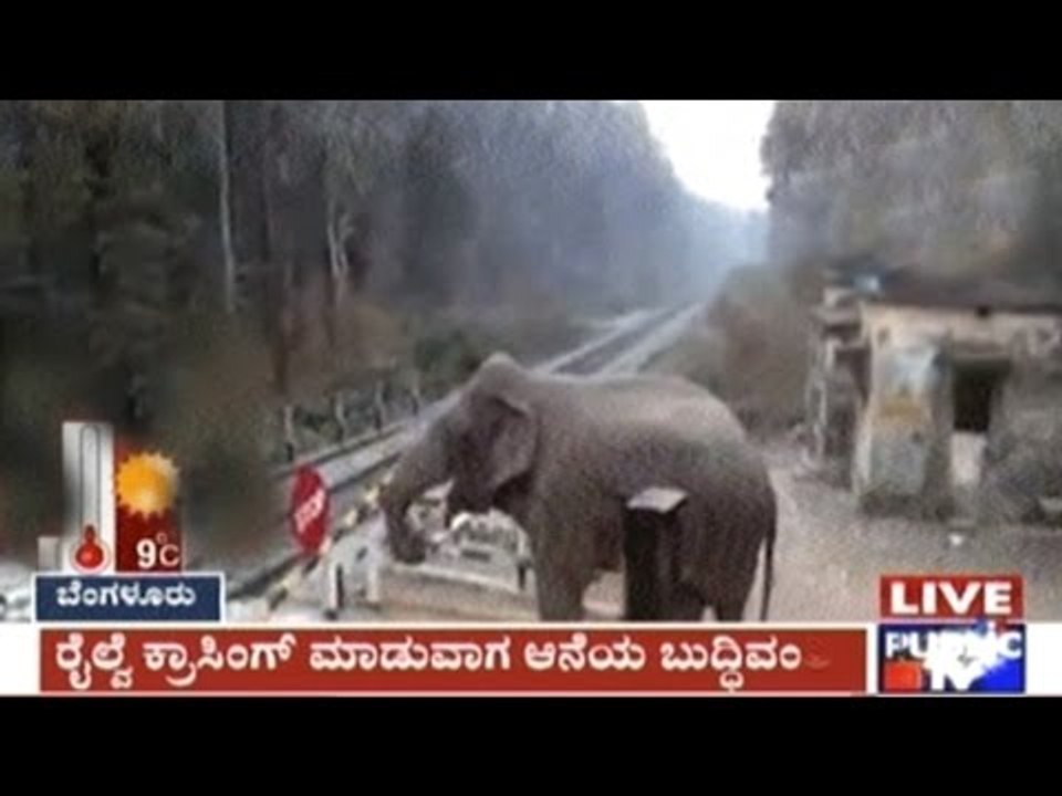 Kolkata: Elephant Lifts Railway Gate & Passes R...