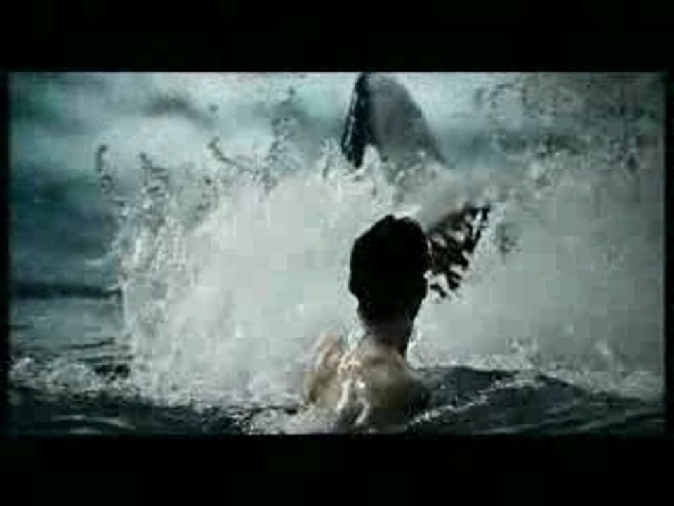 Shark