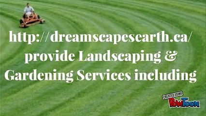 Best Calgary grass cutting services