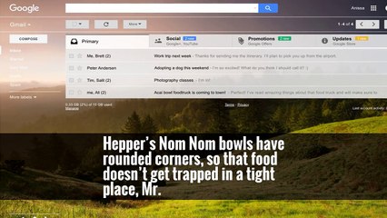 Crystal said, and when they hit the sides of a bowl during a meal, “that repeated stress isn’t giving the cat