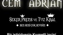 Çok sevdim 