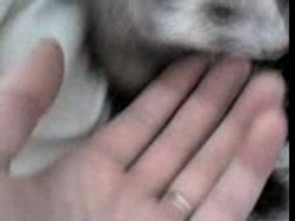 Petit moment de tendresse